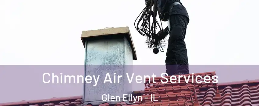  Chimney Air Vent Services Glen Ellyn - IL