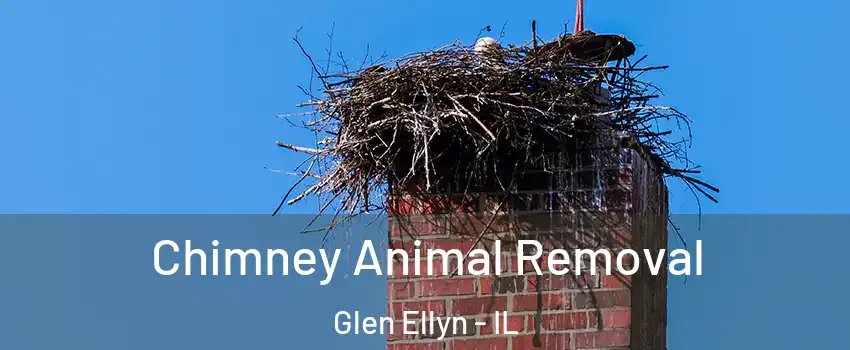  Chimney Animal Removal Glen Ellyn - IL