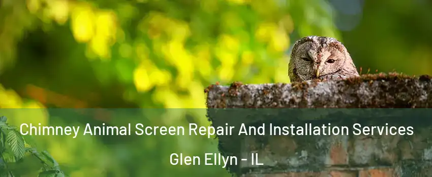  Chimney Animal Screen Repair And Installation Services Glen Ellyn - IL