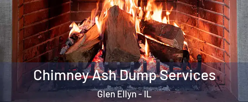  Chimney Ash Dump Services Glen Ellyn - IL