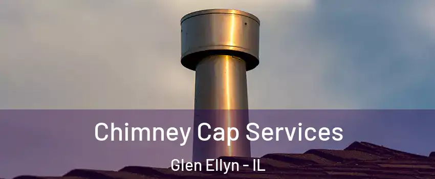  Chimney Cap Services Glen Ellyn - IL