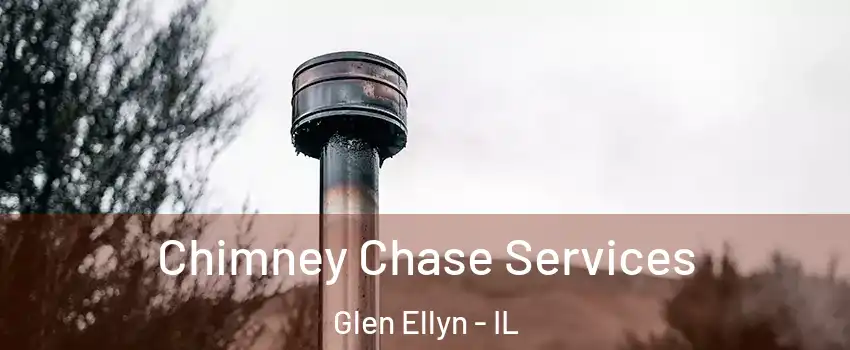  Chimney Chase Services Glen Ellyn - IL