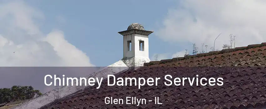  Chimney Damper Services Glen Ellyn - IL