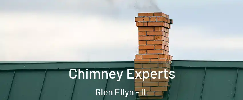  Chimney Experts Glen Ellyn - IL