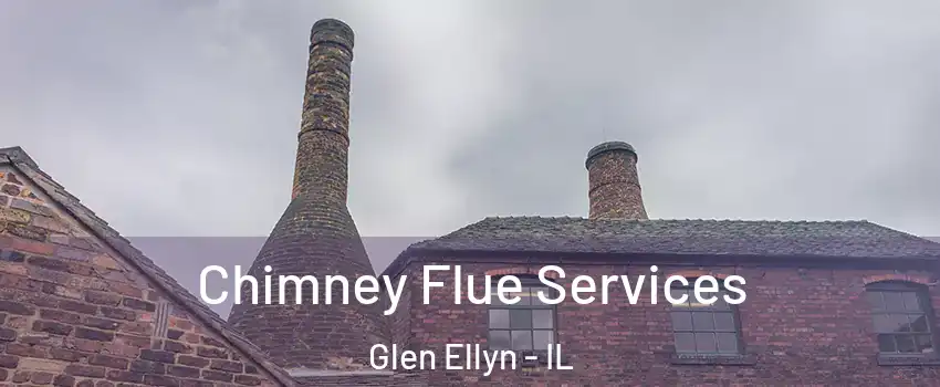  Chimney Flue Services Glen Ellyn - IL