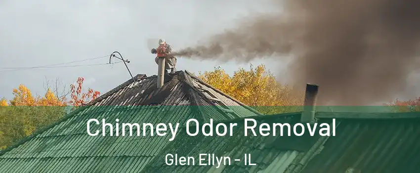 Chimney Odor Removal Glen Ellyn - IL
