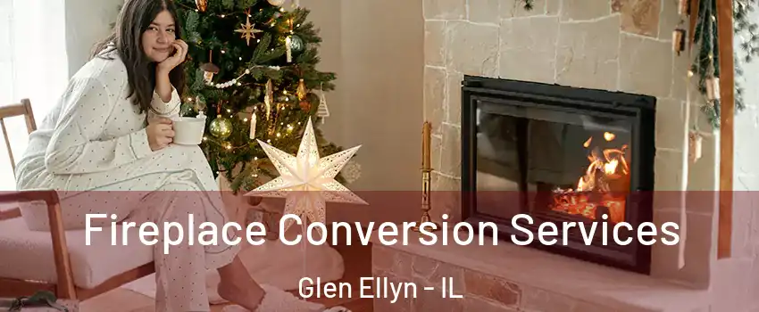  Fireplace Conversion Services Glen Ellyn - IL