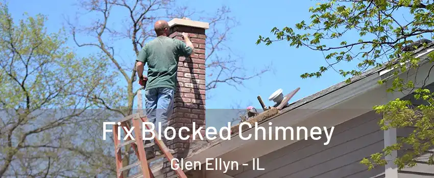  Fix Blocked Chimney Glen Ellyn - IL