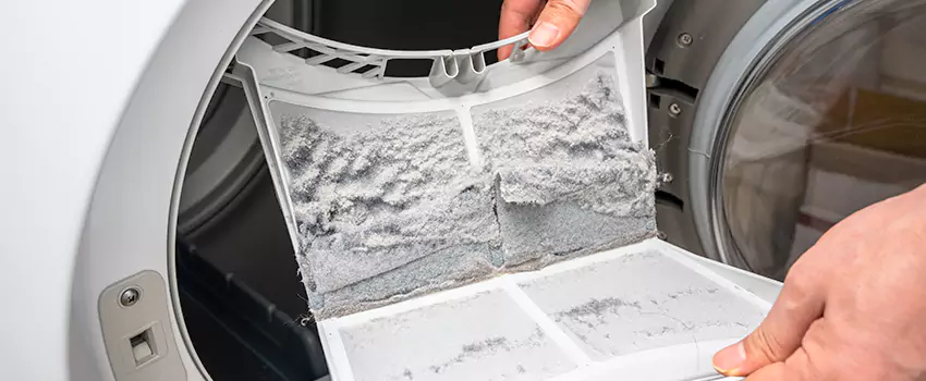 Best Dryer Lint Removal Company in Glen Ellyn, Illinois