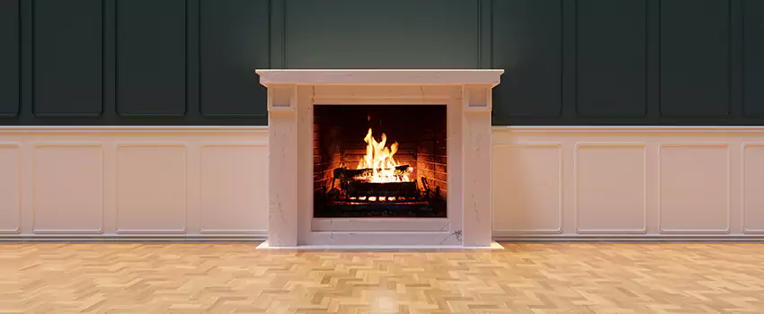 Napoleon Electric Fireplaces Inspection Service in Glen Ellyn, Illinois