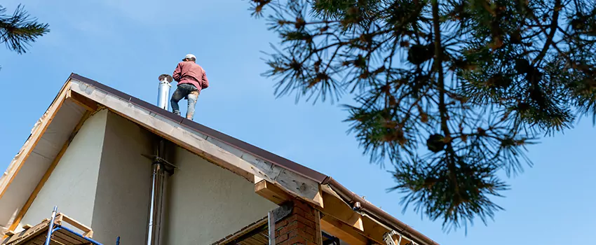 Birds Removal Contractors from Chimney in Glen Ellyn, IL