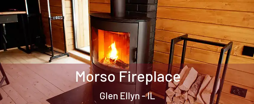  Morso Fireplace Glen Ellyn - IL