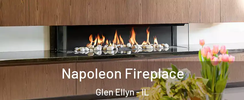  Napoleon Fireplace Glen Ellyn - IL