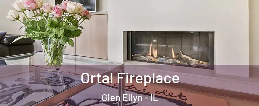Ortal Fireplace Glen Ellyn - IL